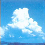 Cumulus clouds