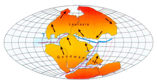 Continents Map Picture