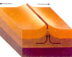 Ridge Boundary Picture