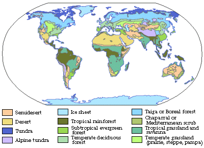 Vegetation Map